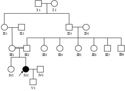 Frontiers Case Report Chanarin Dorfman Syndrome A Novel Homozygous